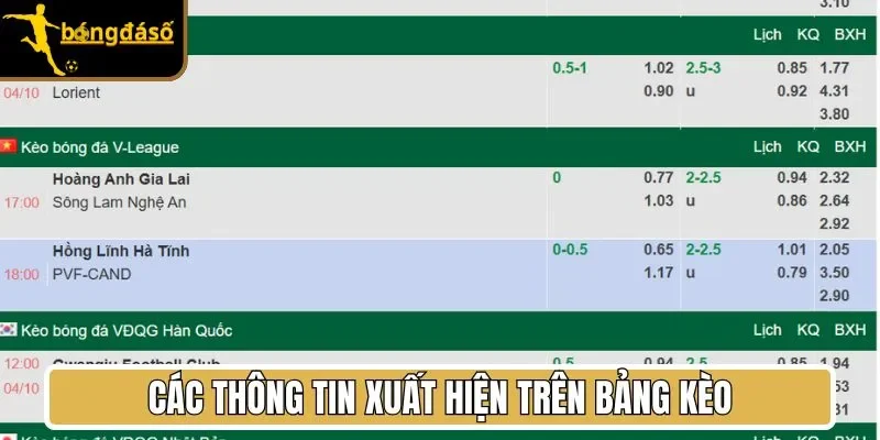 các thông tin xuất hiện trên bảng kèo