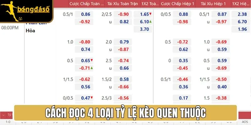 Cách đọc 4 loại tỷ lệ kèo quen thuộc